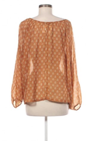 Γυναικεία μπλούζα Please, Μέγεθος M, Χρώμα Πολύχρωμο, Τιμή 1,99 €