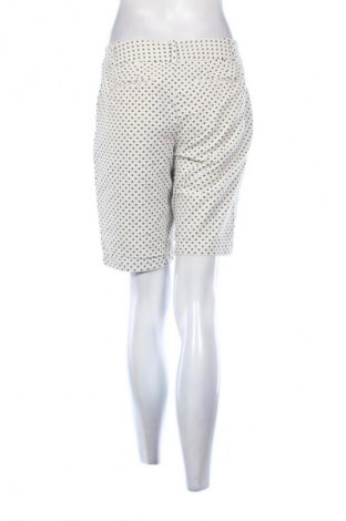 Damskie szorty Ann Taylor, Rozmiar M, Kolor Kolorowy, Cena 24,99 zł