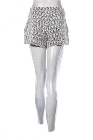 Damen Shorts Zara Trafaluc, Größe S, Farbe Mehrfarbig, Preis € 2,99