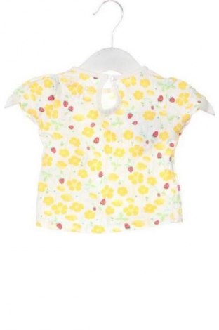 Dziecięca bluzka Early Days, Rozmiar 3-6m/ 62-68 cm, Kolor Kolorowy, Cena 6,99 zł