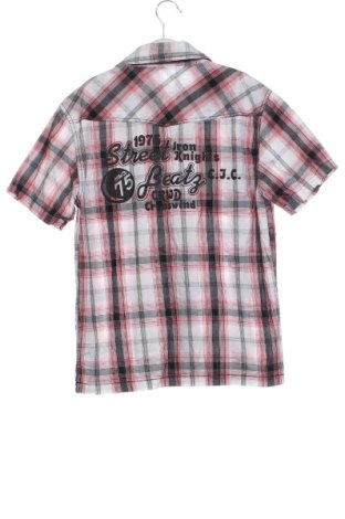 Dziecięca koszula Dognose, Rozmiar 8-9y/ 134-140 cm, Kolor Kolorowy, Cena 6,99 zł
