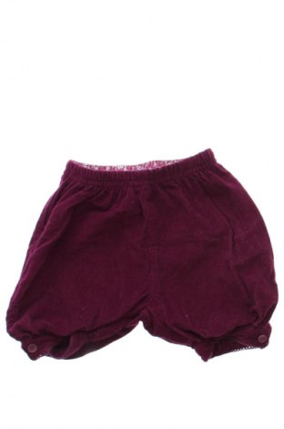 Dziecięce szorty Jojo Maman Bebe, Rozmiar 2-3m/ 56-62 cm, Kolor Fioletowy, Cena 6,99 zł