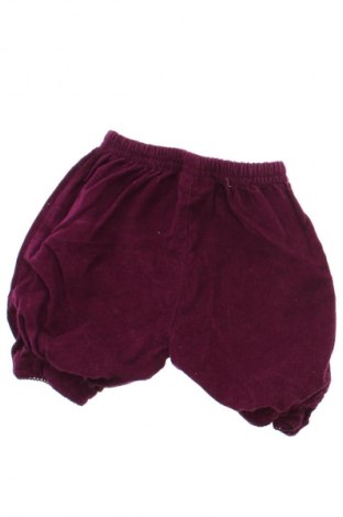 Dziecięce szorty Jojo Maman Bebe, Rozmiar 2-3m/ 56-62 cm, Kolor Fioletowy, Cena 6,99 zł