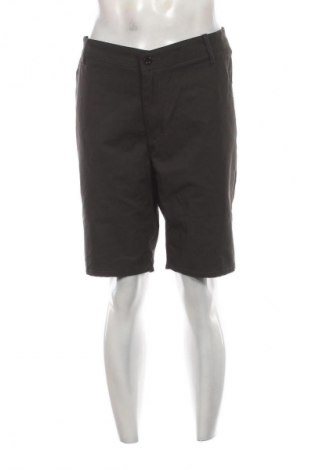 Herren Shorts No Problem, Größe L, Farbe Grün, Preis € 19,99