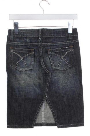 Rock Tally Weijl, Größe XXS, Farbe Blau, Preis 1,99 €