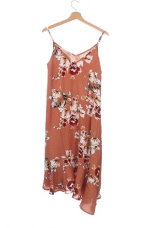 Kleid The Editor's Market, Größe XS, Farbe Mehrfarbig, Preis 2,99 €