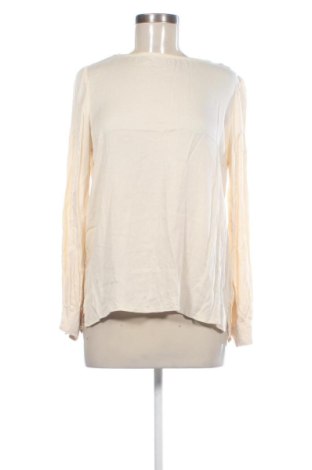 Damen Shirt Tom Tailor, Größe L, Farbe Ecru, Preis € 14,00, #137226278