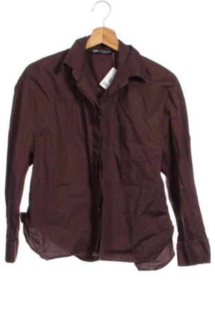 Dámská košile  Zara, Velikost XS, Barva Hnědá, Cena  340,00 Kč, #137142554