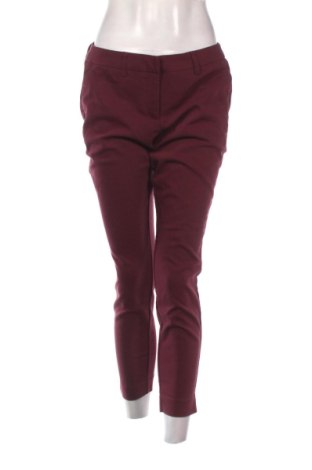 Damenhose Mohito, Größe M, Farbe Lila, Preis 12,05 €, #137094230