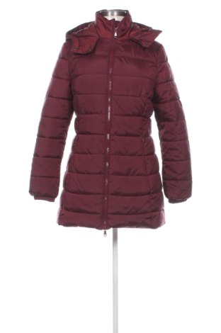 Geacă de femei About You, Mărime S, Culoare Roșu, Preț 133,99 Lei, #137273874