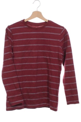 Kinder Shirt Primark, Größe 10-11y/ 146-152 cm, Farbe Mehrfarbig, Preis 7,43 €, #137113480