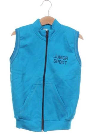 Детски елек Unbranded, Размер 4-5y/ 110-116 см, Цвят Син, Цена 10,00 €, #137257777