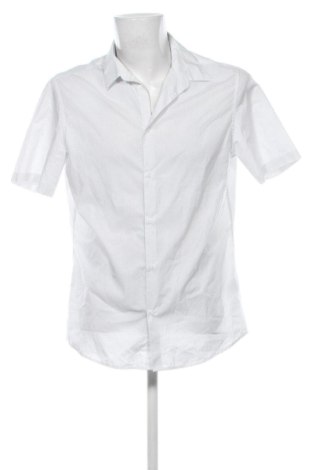 Herrenhemd Unbranded, Größe L, Farbe Mehrfarbig, Preis 14,00 €, #137168068