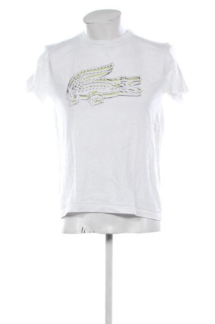 Herren T-Shirt Lacoste, Größe S, Farbe Mehrfarbig, Preis € 29,06, #137253256