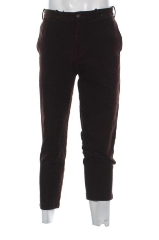 Herren Cordhose Uniqlo, Größe M, Farbe Braun, Preis 11,81 €, #137254735