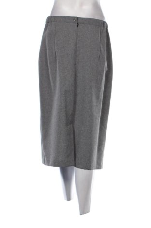 Φούστα Unbranded, Μέγεθος L, Χρώμα Γκρί, Τιμή 20,99 €