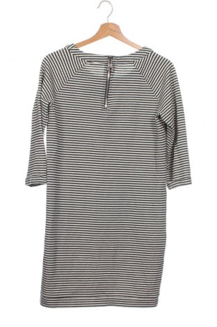 Φόρεμα Nikkie, Μέγεθος XS, Χρώμα Πολύχρωμο, Τιμή 4,99 €