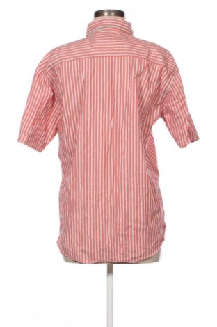 Dámská košile  Shine, Velikost L, Barva Vícebarevné, Cena  49,00 Kč