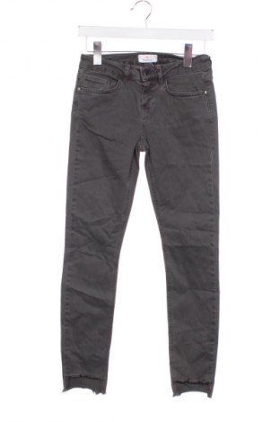 Damen Jeans Motivi, Größe XS, Farbe Grau, Preis € 1,99