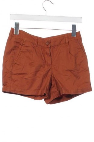 Damen Shorts Colours Of The World, Größe XS, Farbe Braun, Preis 3,99 €