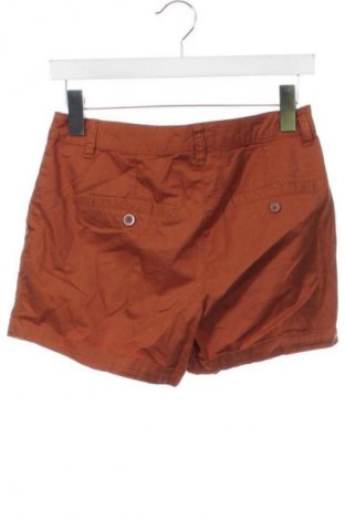Damen Shorts Colours Of The World, Größe XS, Farbe Braun, Preis 3,99 €