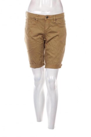 Dámske kraťasy  H&M L.O.G.G., Veľkosť L, Farba Hnedá, Cena  3,95 €