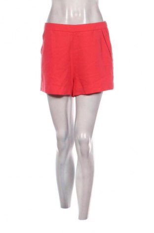 Γυναικείο κοντό παντελόνι Kocca, Μέγεθος M, Χρώμα Κόκκινο, Τιμή 2,99 €