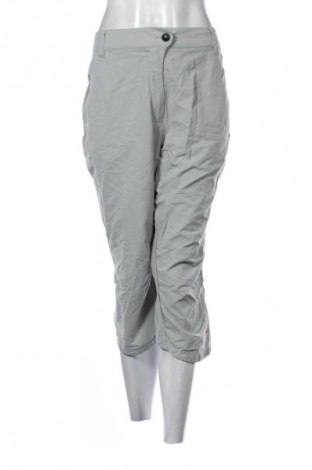 Γυναικείο παντελόνι Crane, Μέγεθος M, Χρώμα Γκρί, Τιμή 2,99 €