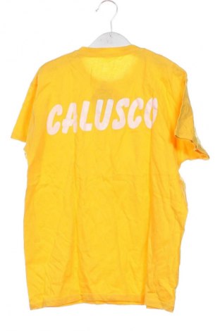 Dziecięcy T-shirt Fruit Of The Loom, Rozmiar 9-10y/ 140-146 cm, Kolor Żółty, Cena 6,99 zł