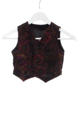 Παιδικό γιλέκο Unbranded, Μέγεθος 3-4y/ 104-110 εκ., Χρώμα Πολύχρωμο, Τιμή 1,99 €
