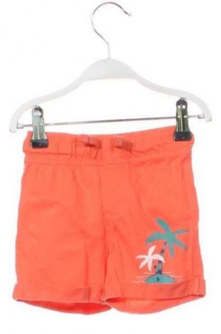 Dziecięce szorty Unbranded, Rozmiar 12-18m/ 80-86 cm, Kolor Kolorowy, Cena 6,99 zł