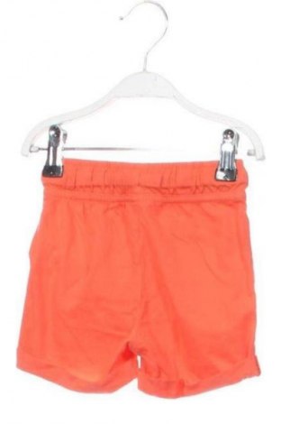 Dziecięce szorty Unbranded, Rozmiar 12-18m/ 80-86 cm, Kolor Kolorowy, Cena 6,99 zł