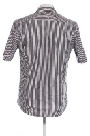 Herrenhemd Daniel Hechter, Größe M, Farbe Mehrfarbig, Preis € 4,99