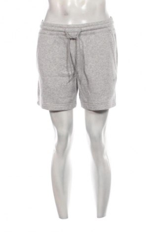 Herren Shorts Hollister, Größe S, Farbe Grau, Preis € 18,99