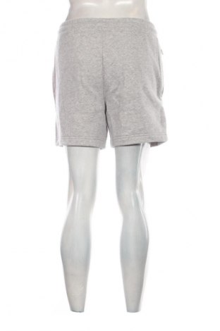 Herren Shorts Hollister, Größe S, Farbe Grau, Preis € 18,99