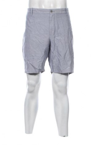 Herren Shorts Izod, Größe XXL, Farbe Blau, Preis € 10,99, #132626770