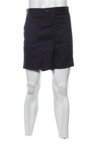 Pánské kraťasy Unbranded, Velikost L, Barva Modrá, Cena  99,00 Kč