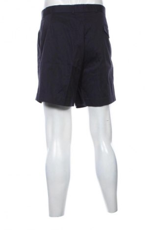 Pánské kraťasy Unbranded, Velikost L, Barva Modrá, Cena  99,00 Kč