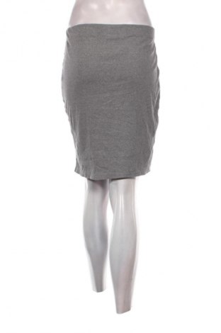 Φούστα Janina, Μέγεθος XL, Χρώμα Γκρί, Τιμή 1,99 €