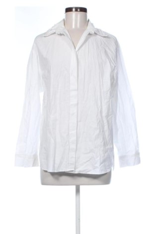 Damenbluse Zara, Größe L, Farbe Weiß, Preis € 19,99, #137237049