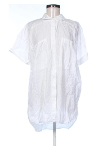Damenbluse Zara, Größe L, Farbe Weiß, Preis 17,99 €, #137238627