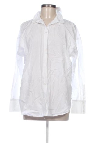 Damenbluse Pull&Bear, Größe L, Farbe Weiß, Preis € 7,99, #137239124