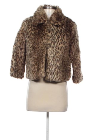 Palton de femei Motivi, Mărime S, Culoare Multicolor, Preț 320,19 Lei, #137284751