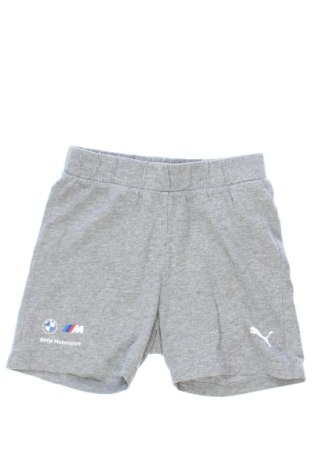 Pantaloni scurți pentru copii PUMA, Mărime 3-4y/ 104-110 cm, Culoare Gri, Preț 73,49 Lei, #137152941