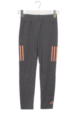Kinderlegging Adidas, Größe 9-10y/ 140-146 cm, Farbe Grau, Preis € 18,19, #137281535