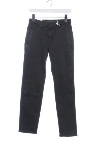 Herren Jeans Mac, Größe S, Farbe Grau, Preis 87,99 €, #137262675