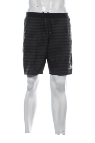 Мъжки къс панталон Adidas, Размер M, Цвят Многоцветен, Цена 29,76 €, #137288382