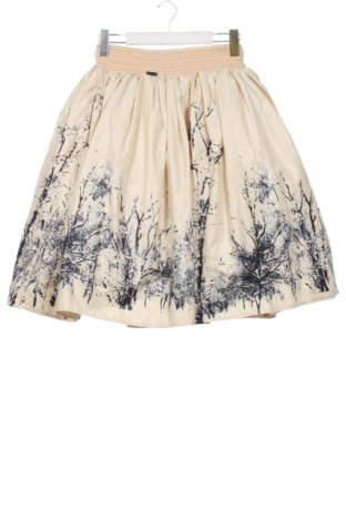 Fustă Djofra, Mărime XS, Culoare Multicolor, Preț 73,49 Lei, #137282683