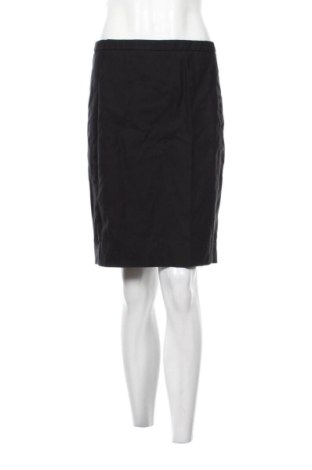 Fustă J.Crew, Mărime M, Culoare Negru, Preț 57,03 Lei, #137286204