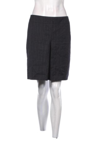 Fustă Banana Republic, Mărime M, Culoare Gri, Preț 30,00 Lei, #137311694